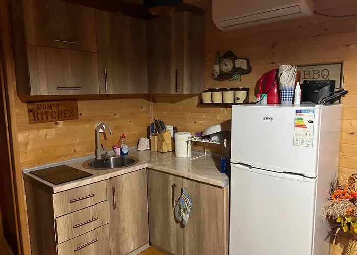 Cheerful Cabin In Ada Bojana